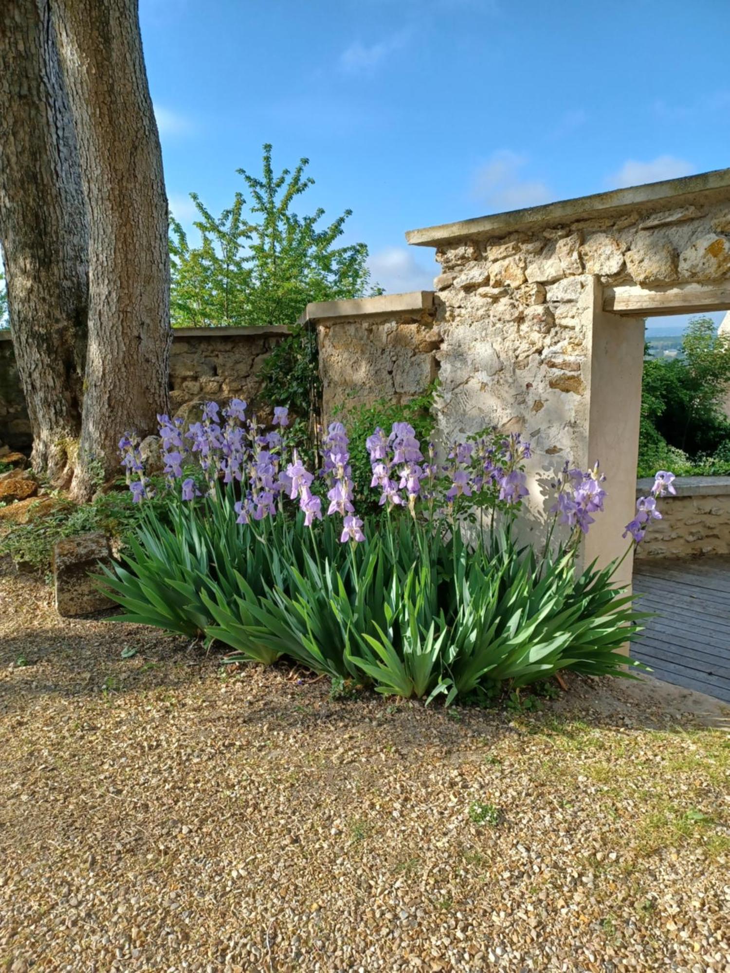 Le Verger Vaux-Sur-Seine Eksteriør billede